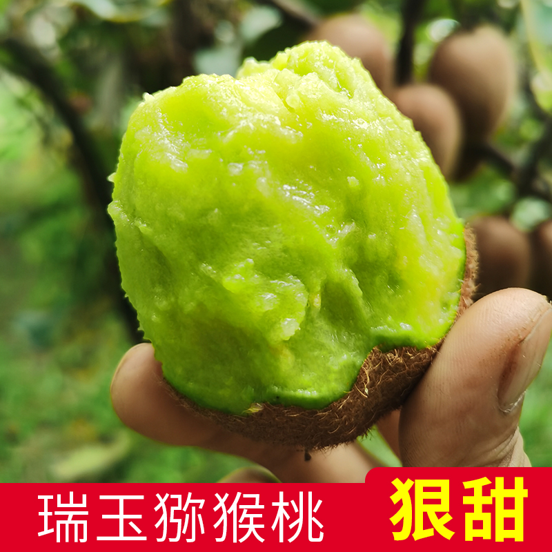 瑞玉猕猴桃陕西晚采猕猴桃周至绿心奇异果水果整箱弥猴桃4.5-10斤