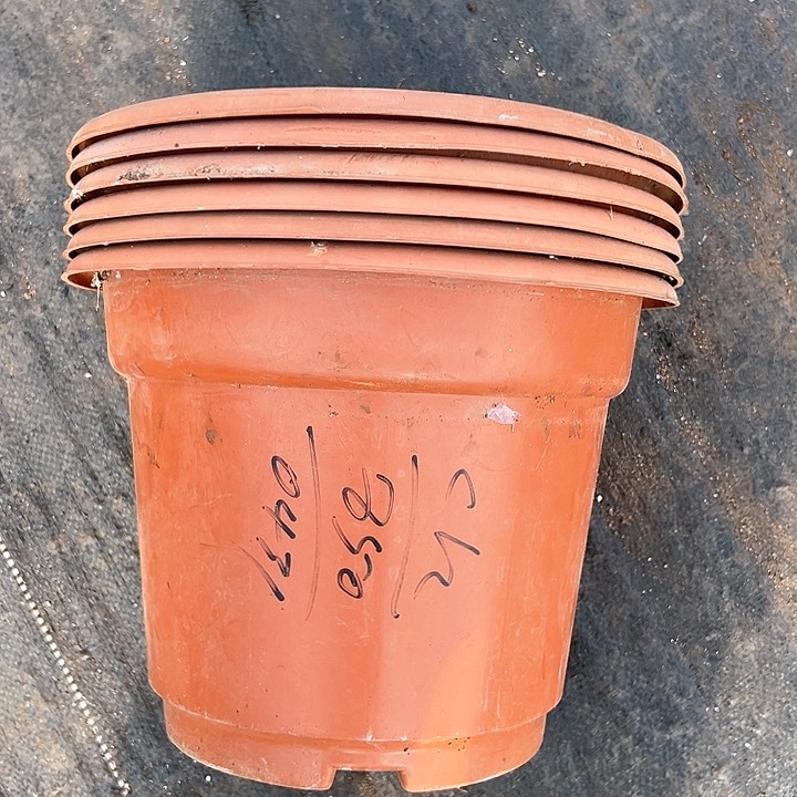 塑料口径30高度23 红盆一组6个