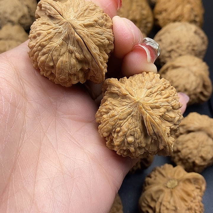 大叶紫檀（黑酸枝木类）满天星42