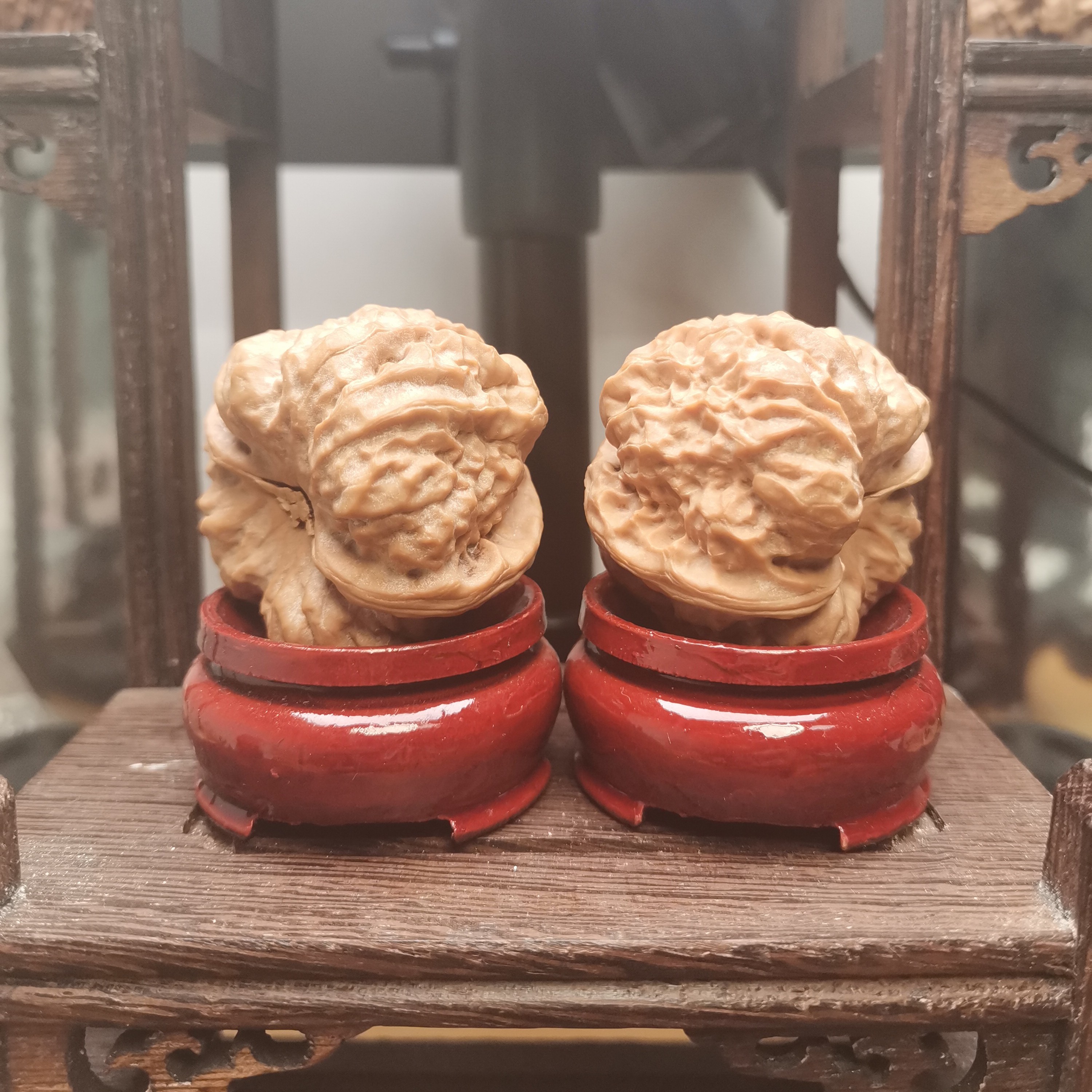 43尺蛤蟆头开背带蹬腿