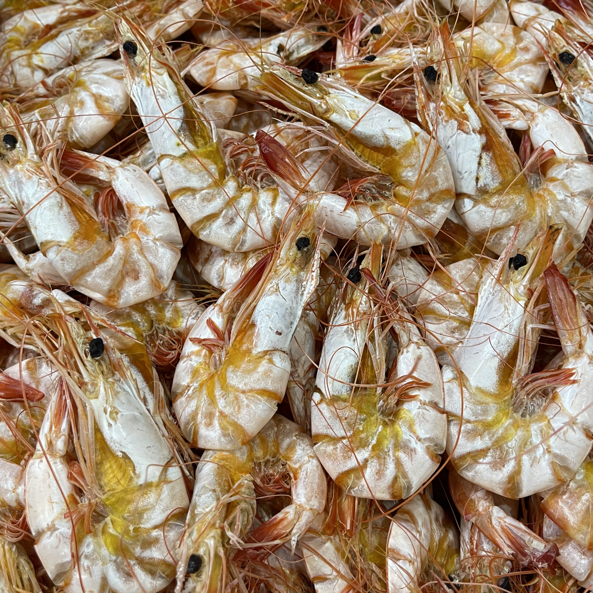 汕尾马宫本港野生白刺虾干，淡干海白虾脯，送礼大方煮姜醋蛋即食