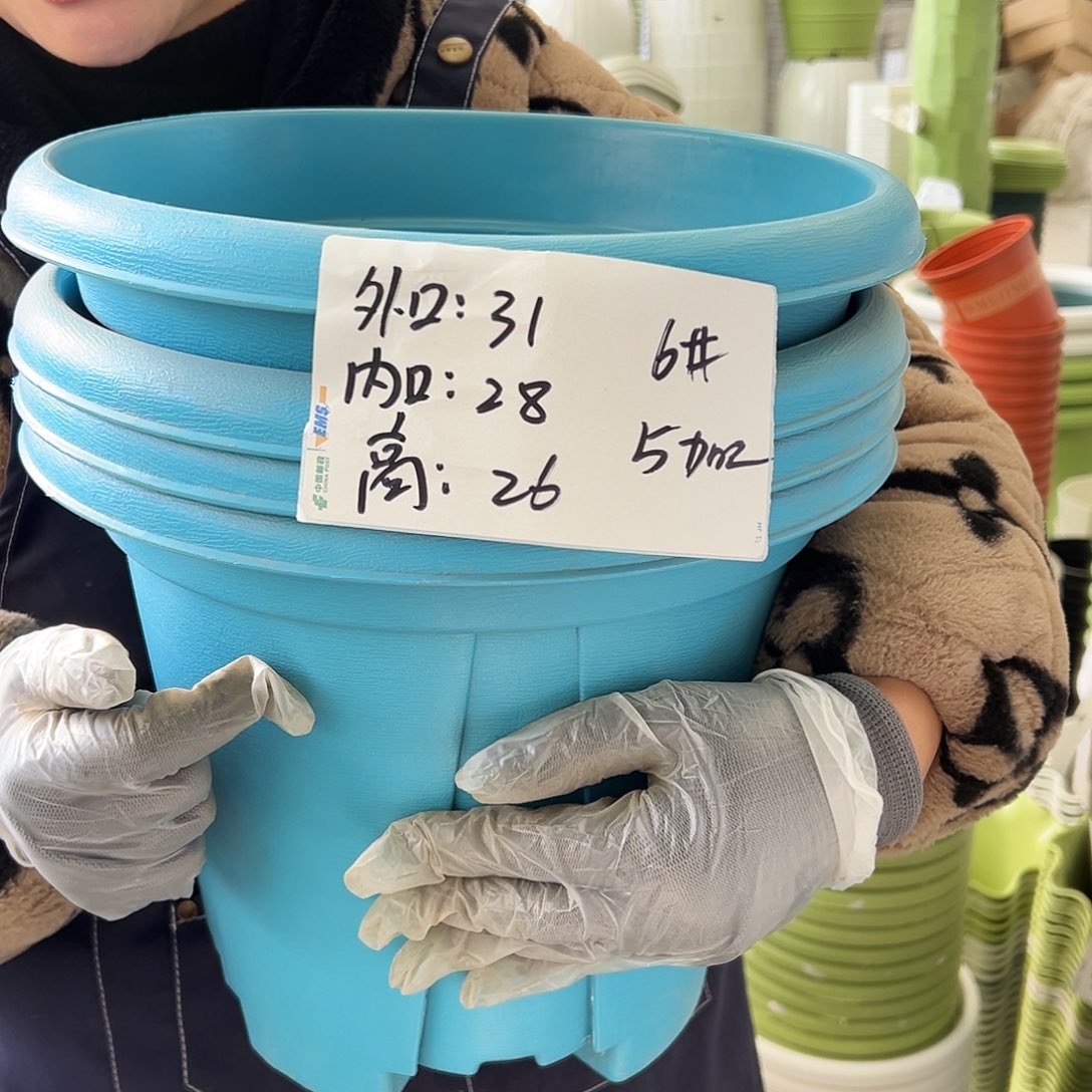 青山盆6#蓝色5个无托