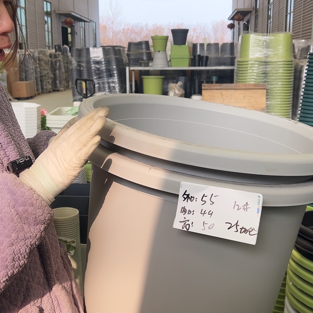 瑕疵四季盆12#灰白2个无托