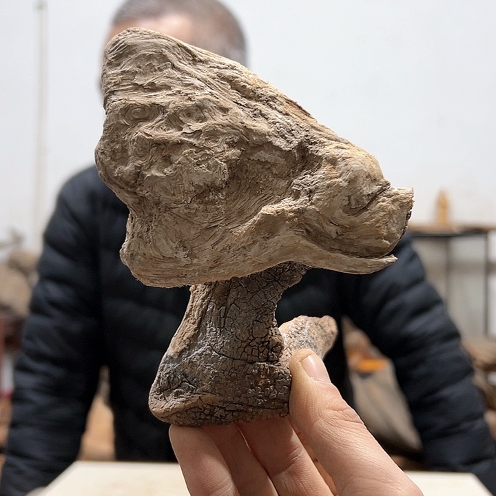 柏木枯**雨我们的生活也是