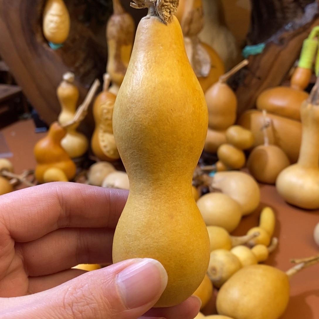 小***9教练教练教练经理