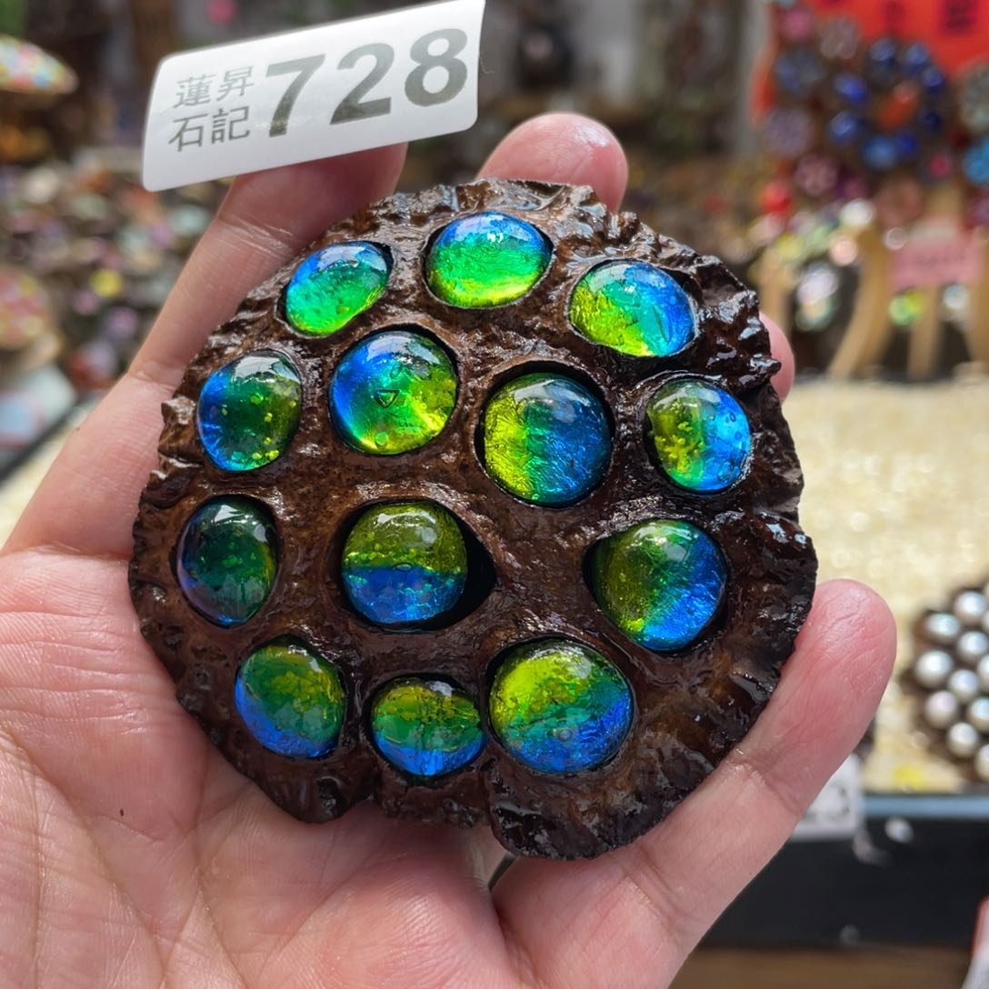 核桃木/黑胡桃（胡桃木）728蘑菇