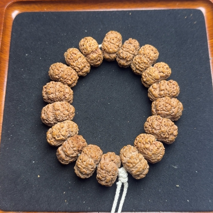 手串金刚菩提5号23尺寸梅花夹板