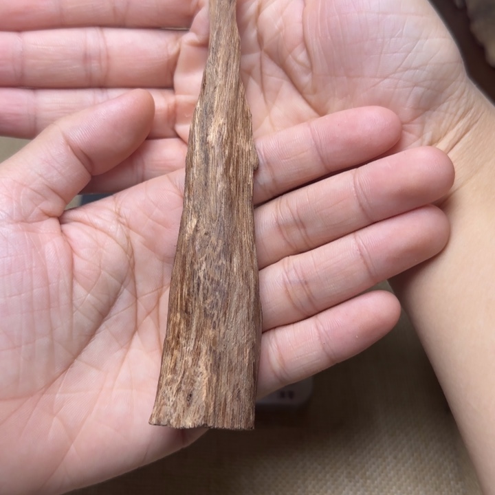 香榧木土埋虫漏虫漏