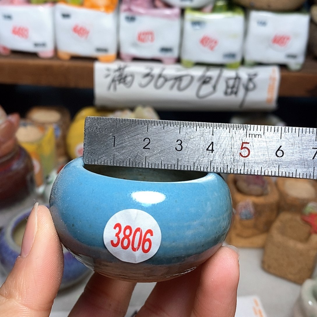 红陶拍5送一个小