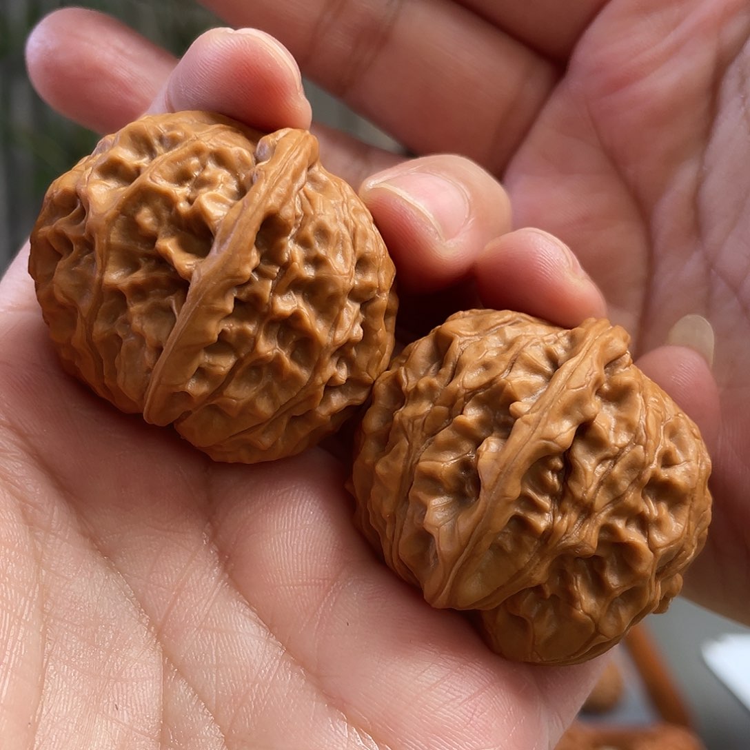 桃核把件40×37尺全品黄松峪元宝CN01260已打底