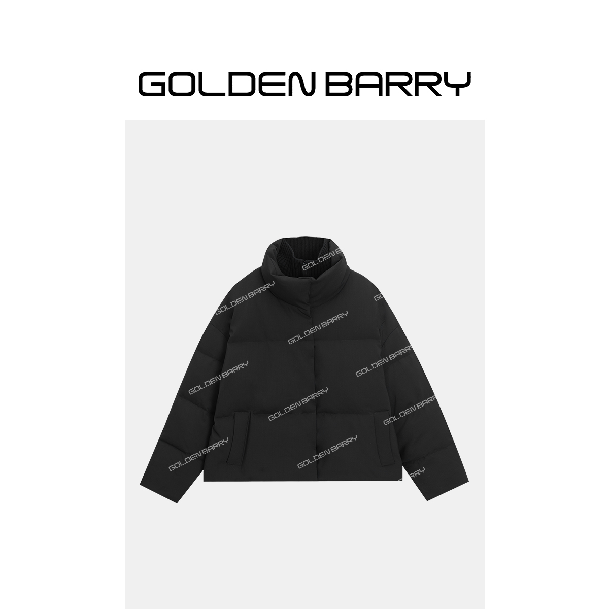 秋冬保暖休闲百搭立领短款鹅绒服133081