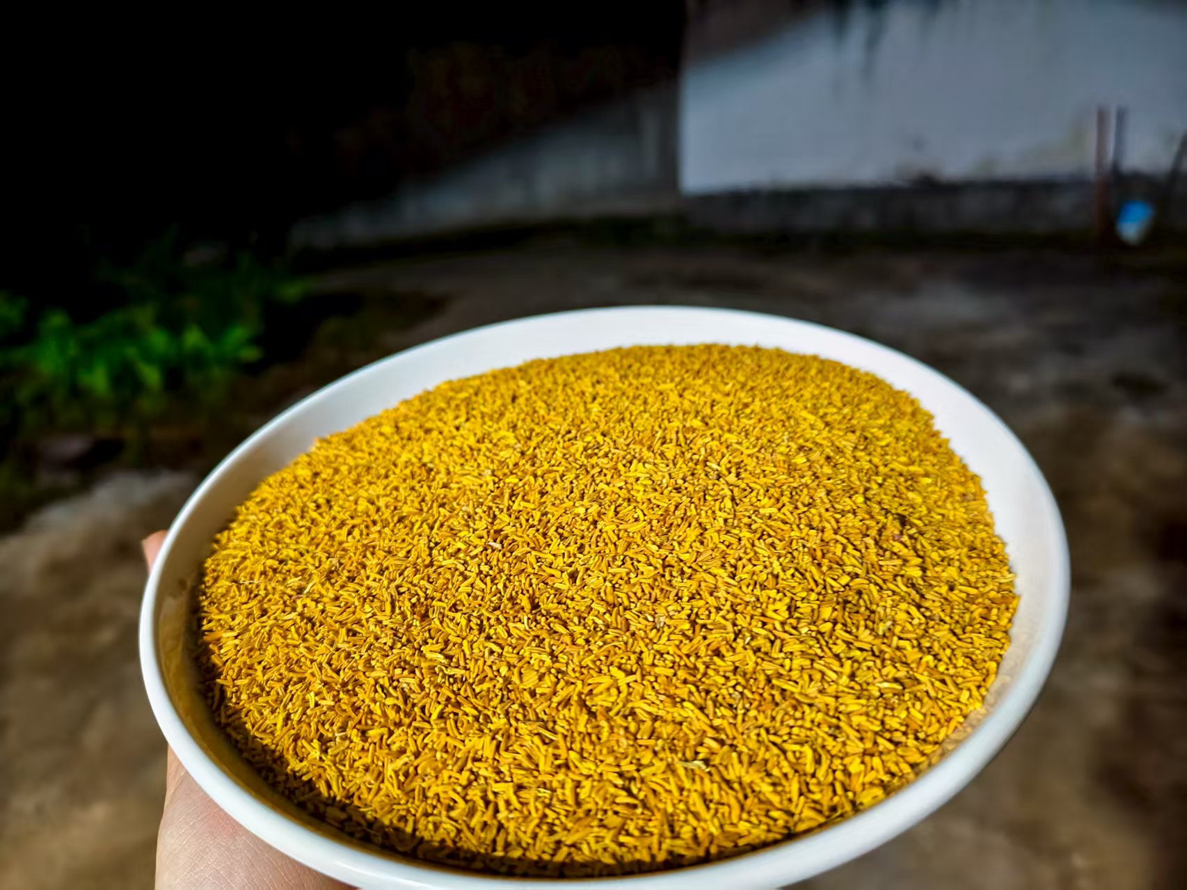 1【黄-金-蕊】净含量50g-500g【阿忠现收现卖】