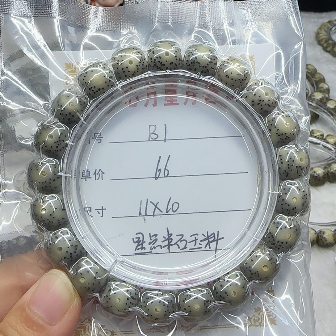 心月星月菩提一号B1