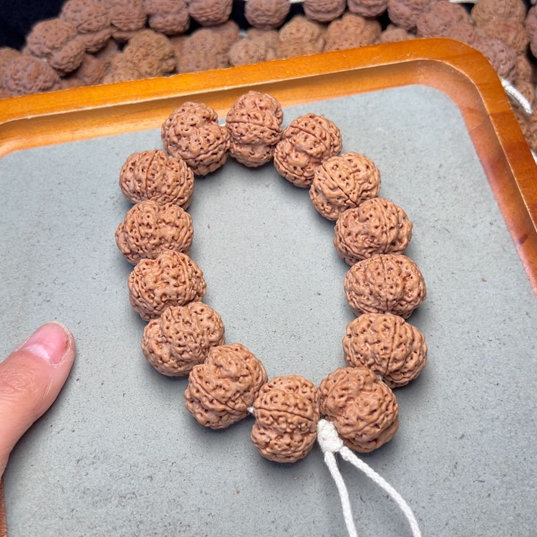 菩提20号金刚菩提梅花24