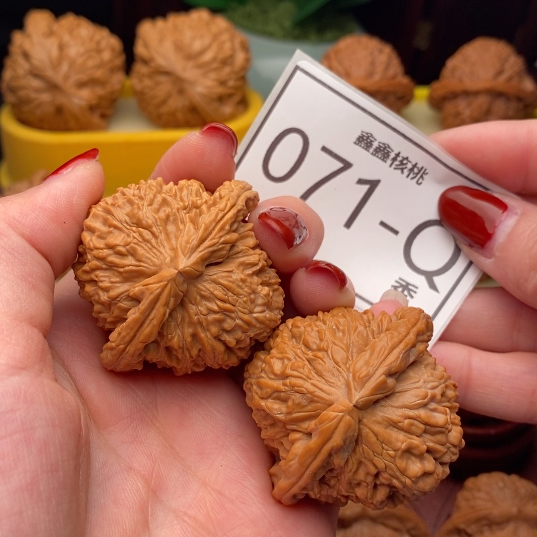 文玩核桃把件白狮44