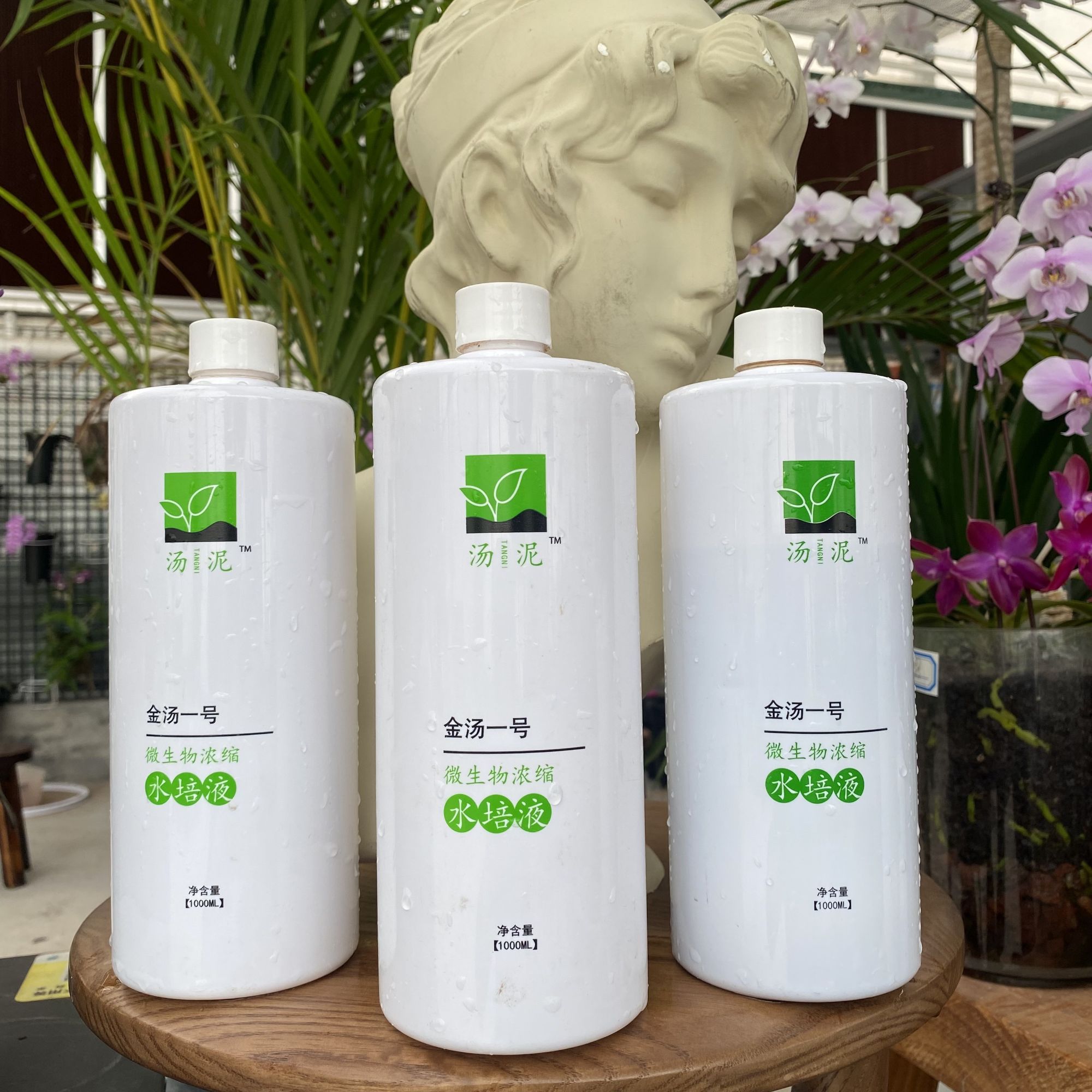 【金汤1号1000ml】大瓶专拍 微生物兰花专用盆栽湿养水培植物蝴蝶兰