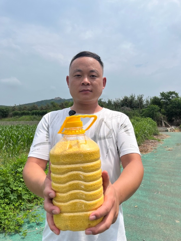 25年沂蒙山农家黄小米新米米油厚适合月子