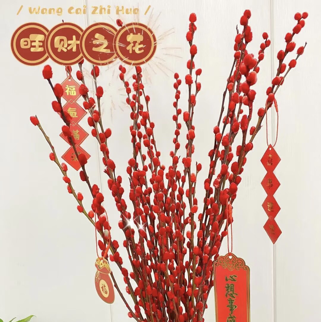 银柳真花鲜枝室内装饰红色年宵花卉水培干花福桶