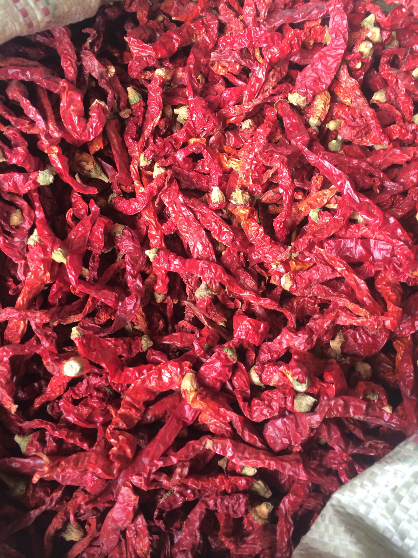 【鹏伟现选-皱皮干辣椒】-辣椒超香中辣皱皮干辣椒无添加