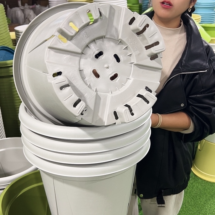 特价青山口40高34灰白无托5只