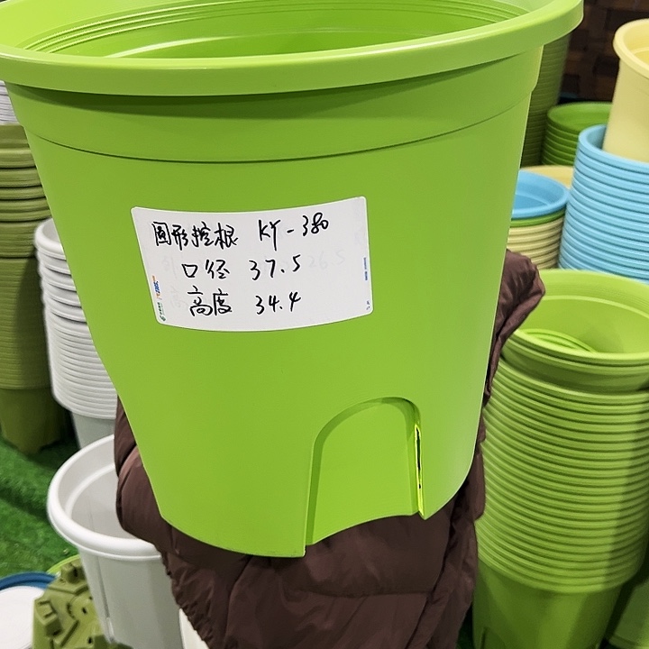 正品圆控口37.5高34果绿无托3只