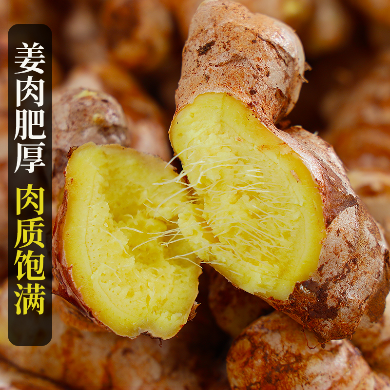 小黄姜现挖香辣十足老姜精选高山现挖老姜姜香浓郁产地直发