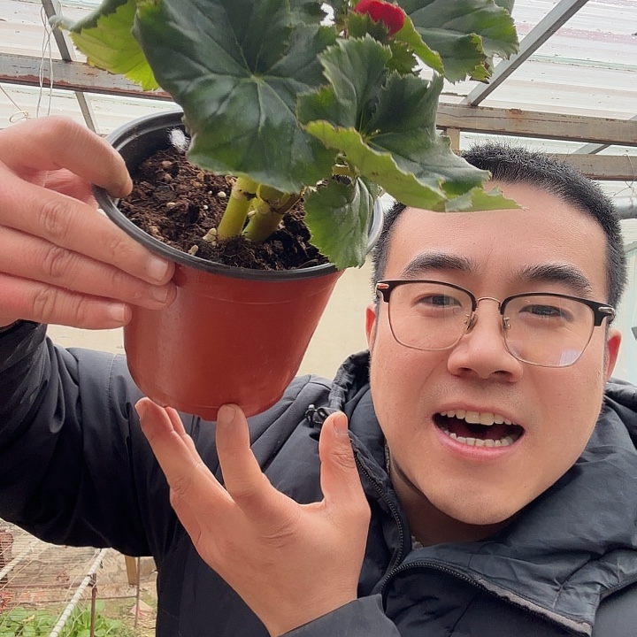 *****完全开放红色➕保温