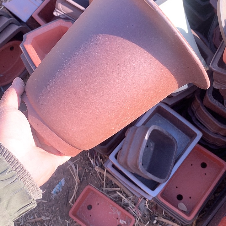 紫砂哈哈真的是太给力太多真的