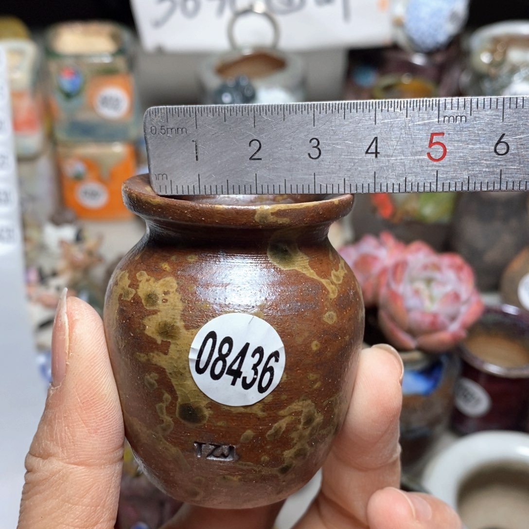 花盆，拍5送一个小礼物