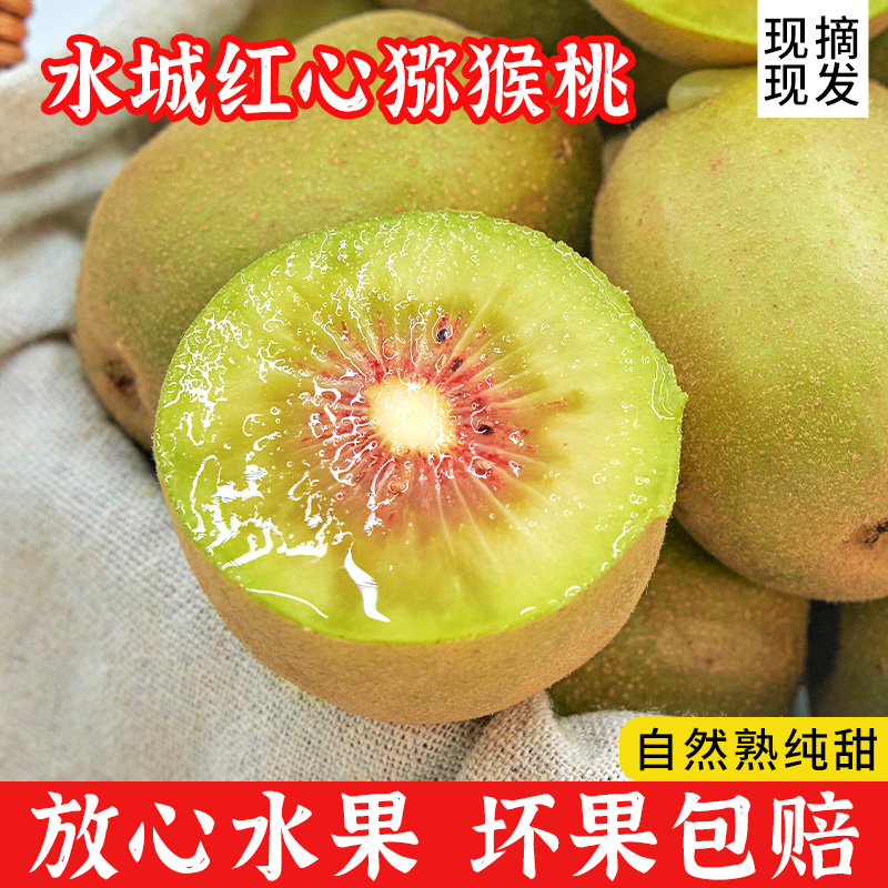 正宗贵州水城红心猕猴桃香甜新鲜水果坏果包赔现摘现发精品大果