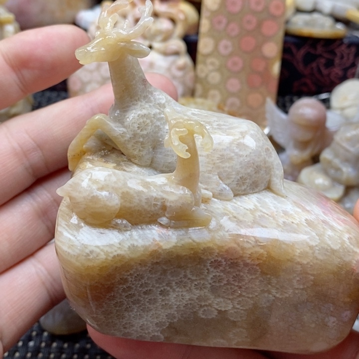 硅化珊瑚（珊瑚玉）颈饰未镶嵌