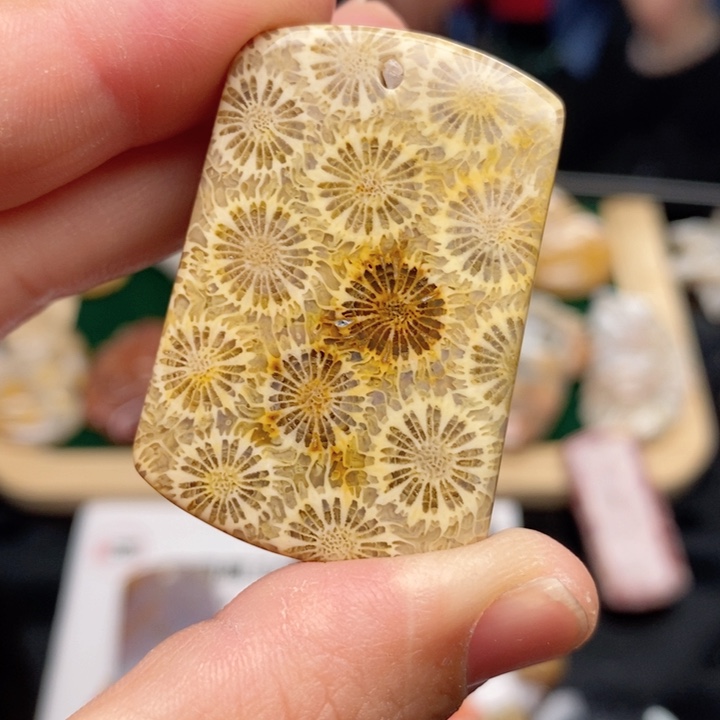 硅化珊瑚（珊瑚玉）手镯未镶嵌骨骼