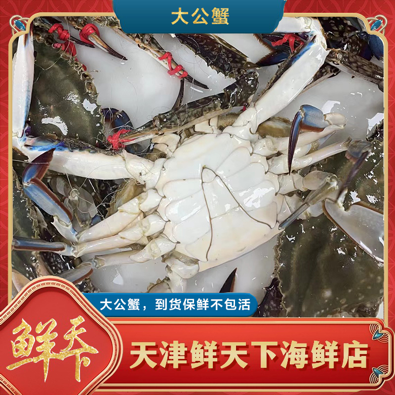 【保鲜不保活】精品本地大公蟹 一斤2-3只 一只3-5两左右 掉爪天津