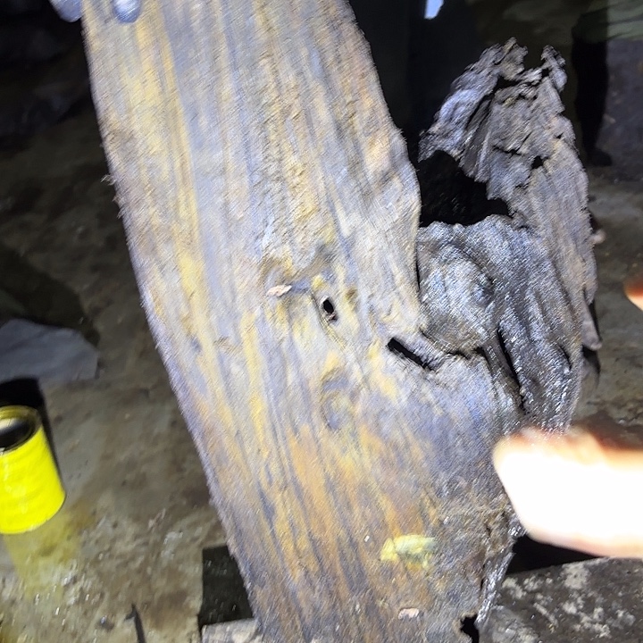 乌木金丝楠摆件毛料