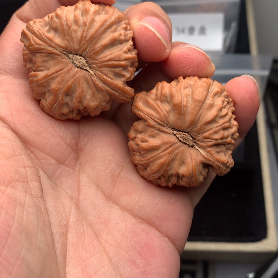 把件文玩核桃40克40尺全品无修球白