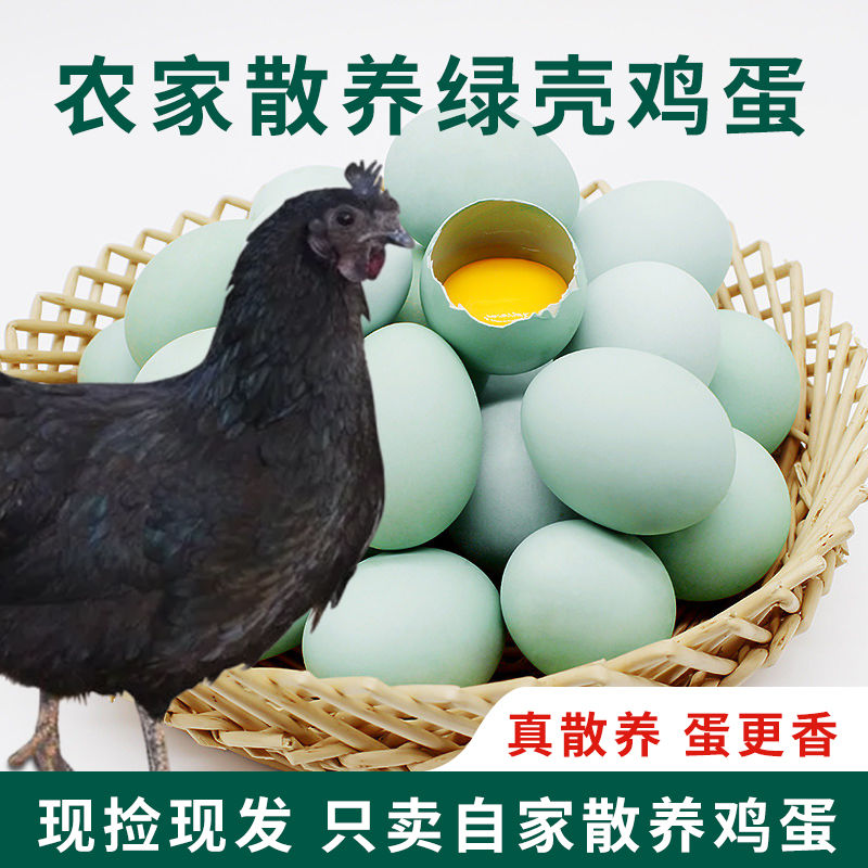 【助农甄选】秦岭大山农家林下散养乌鸡蛋绿壳鸡蛋土鸡蛋散养鸡蛋