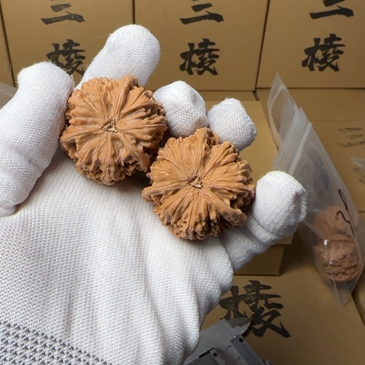 文玩核桃吊坠甲**春简单包装玉龙三棱