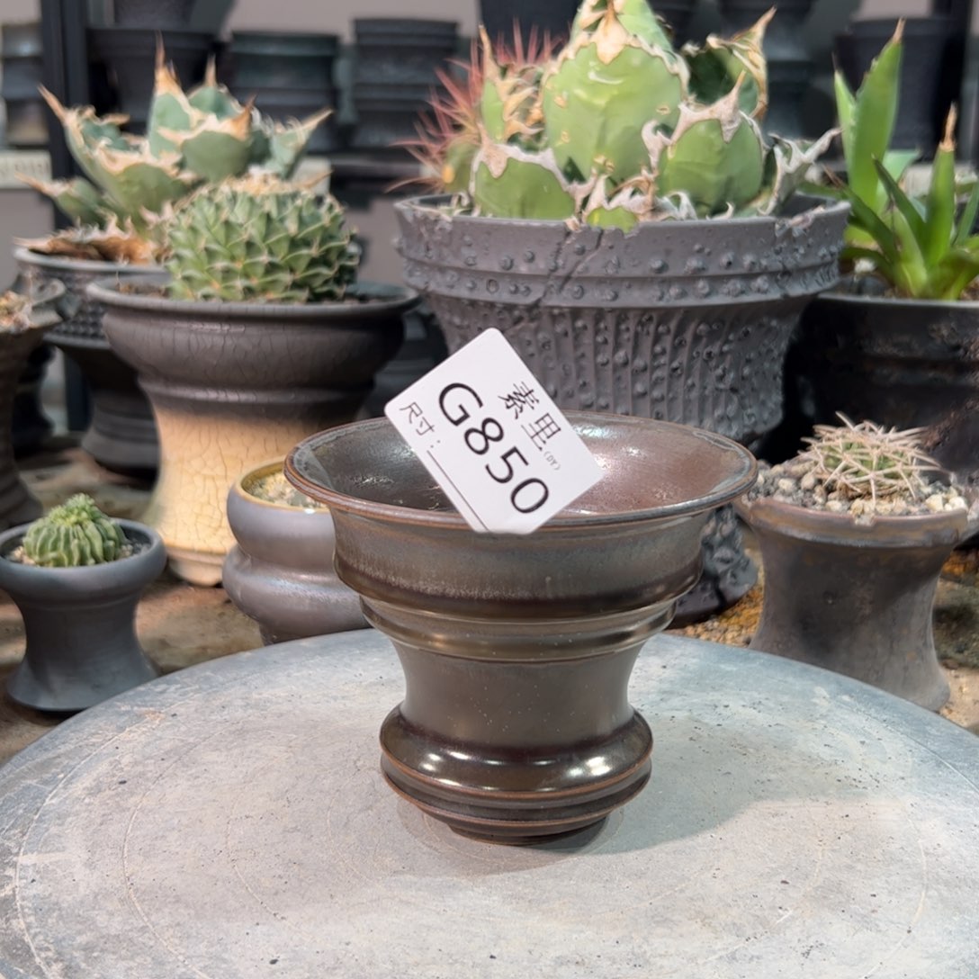 景德镇手工素里内口11.5高9.6