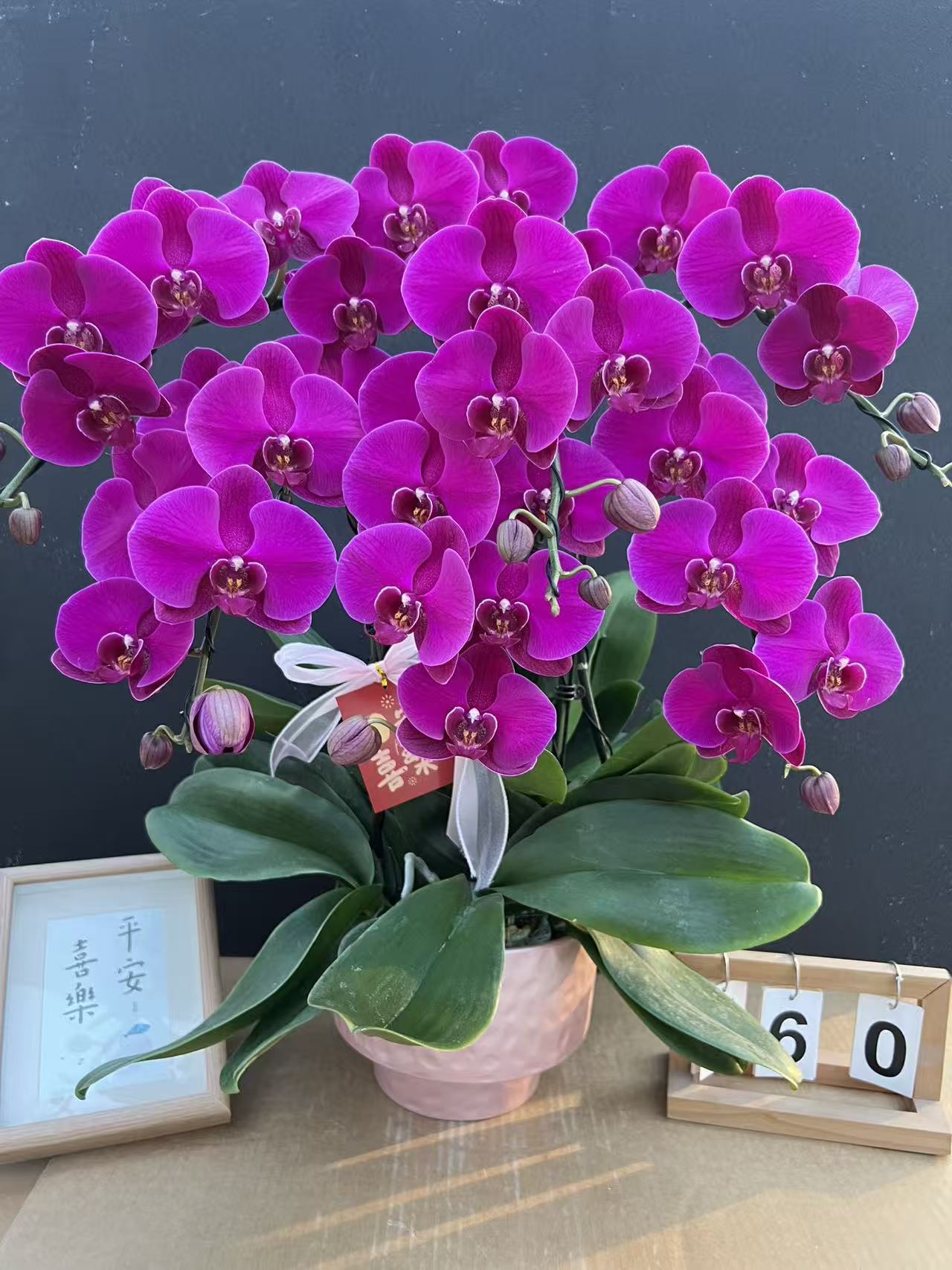 《大辣椒》蝴蝶兰艺术组盆鲜花摆设高端花卉