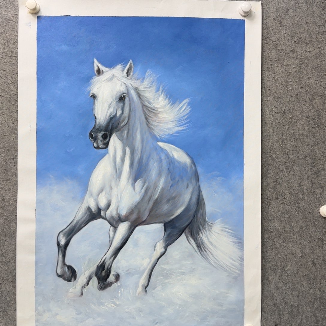 书法作品多次参加全国及省