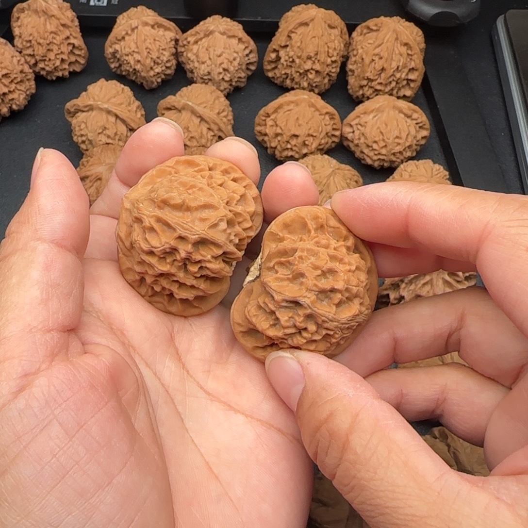 42尺对龟宫灯文玩核桃