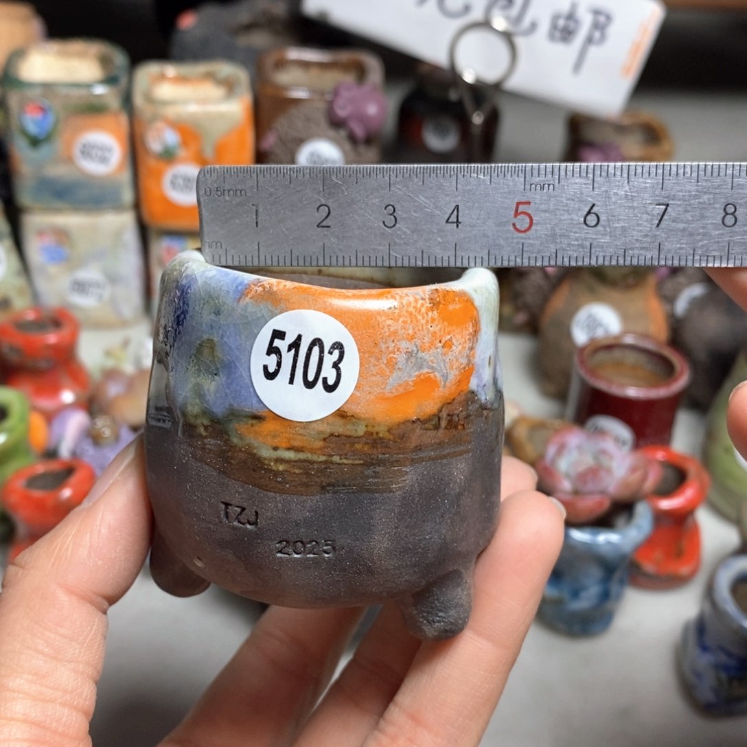 特价花盆不退不换的，原价28元一个的