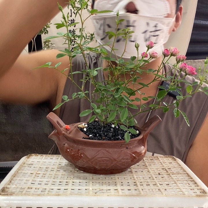t***g无花朵退款拉黑158