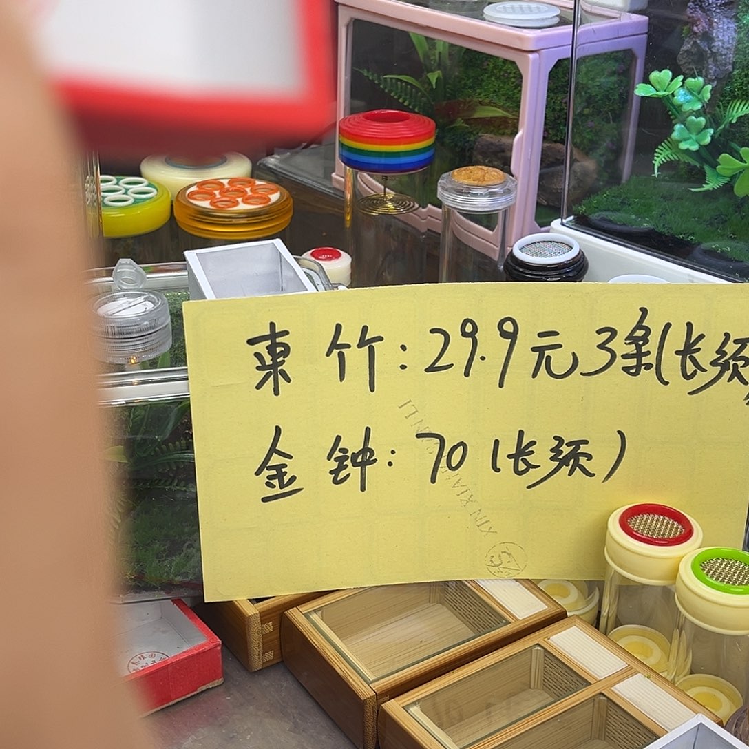 *****哈哈哈哈哈哈哈哈哈