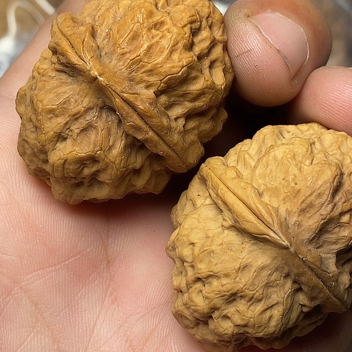 把件文玩核桃志成云铁文玩99