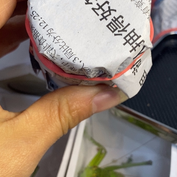 低****蟋蟀我在等着你回来呀