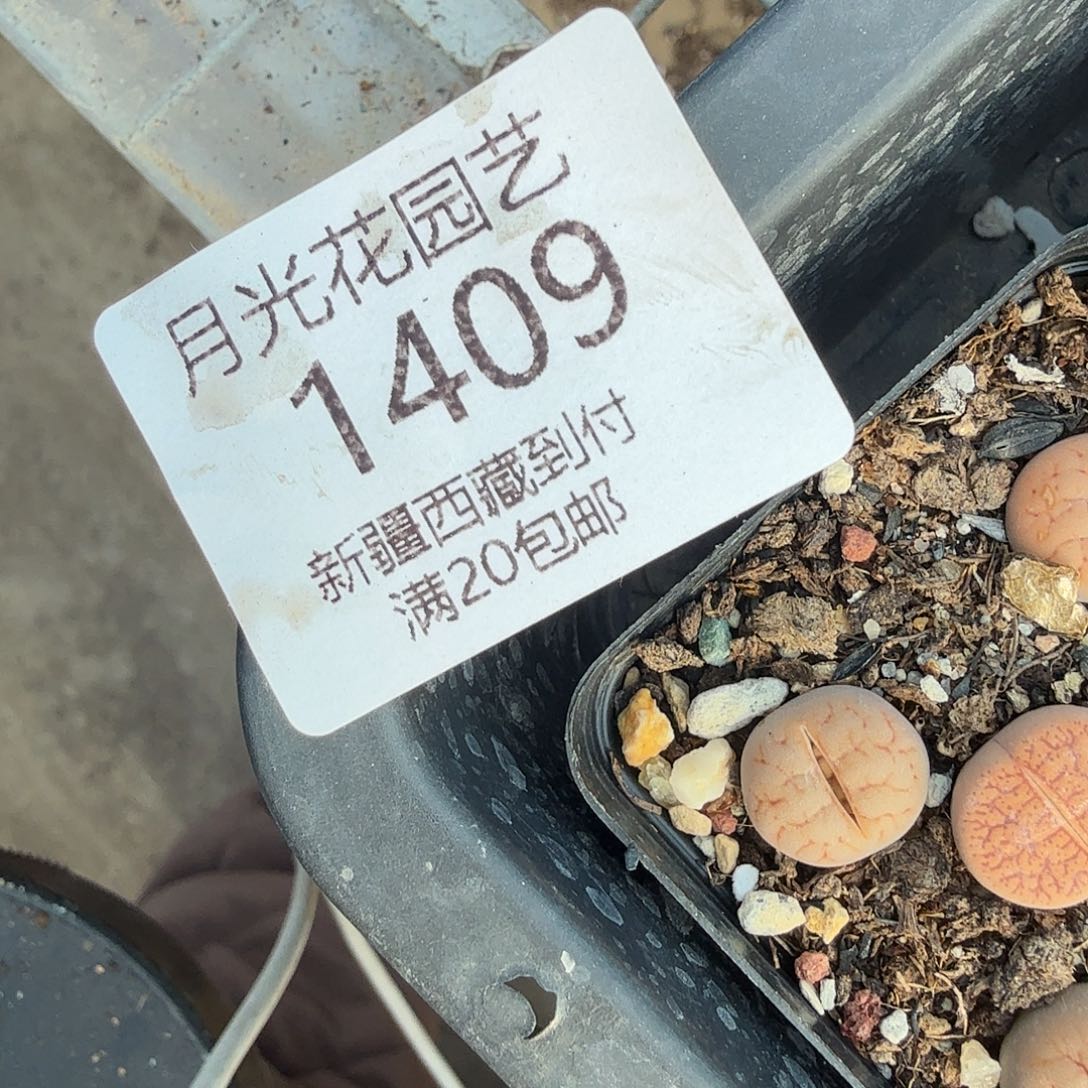 星***崽这个点睡起来都会梦中1409