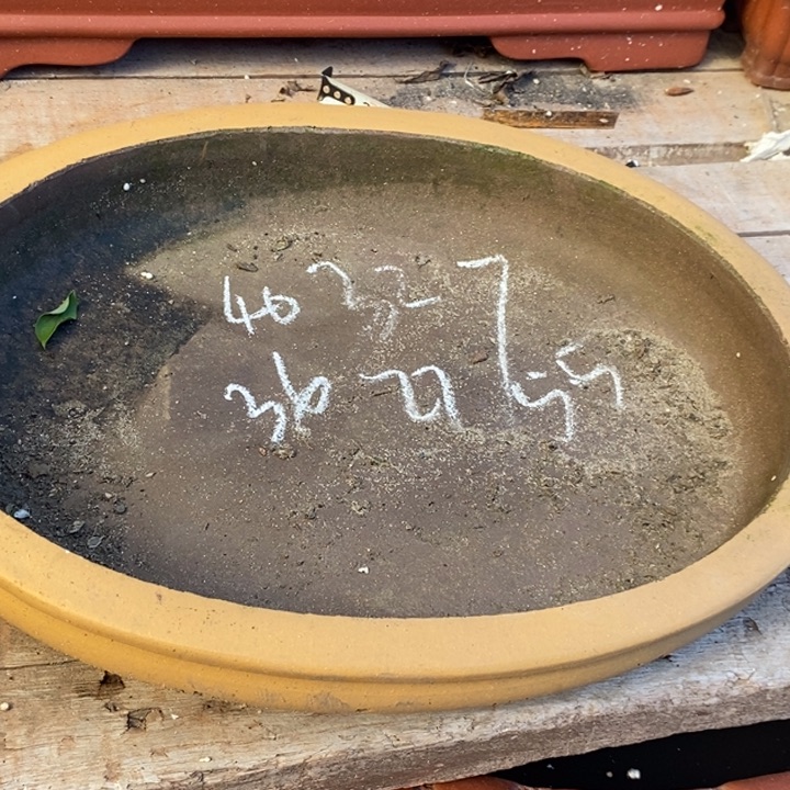 紫砂花盆你也不要多吃些