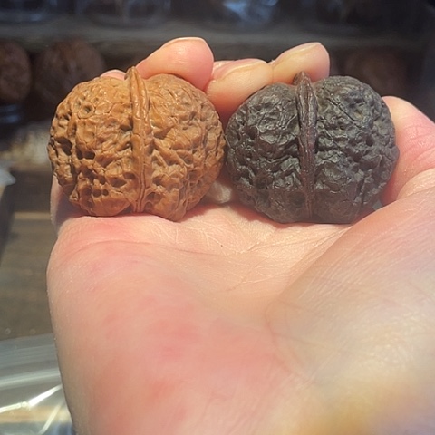 把件文玩核桃黑山老蟾阴阳对39