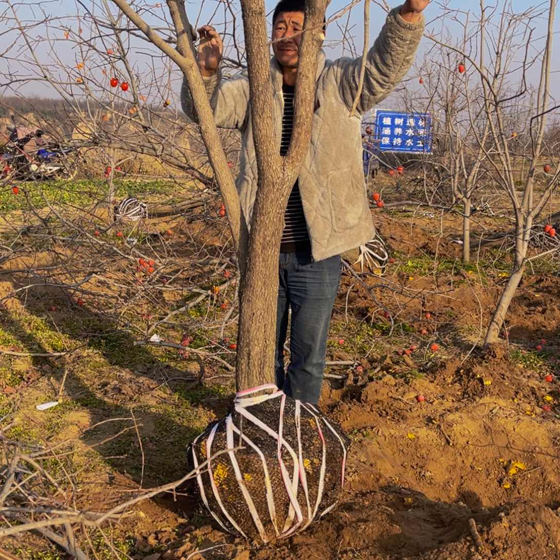 完全开放一物一拍